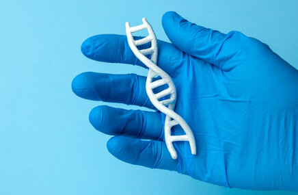 Model DNA