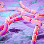 Wizualizacja wyglądu prądków bakterii Bacillus cereus
