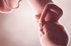 Dziecko w brzuchu matki otoczone wodami płodowymi