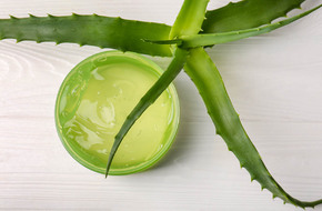 Aloes stosowany na oparzenia