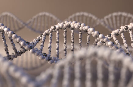 Łańcuch DNA