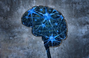 Neurony w mózgu