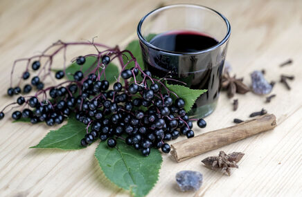 Czarny bez